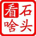 石头看啥片2017头像