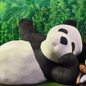 每天笑哈哈233头像