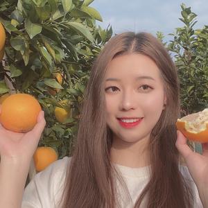 赣南脐橙小西头像