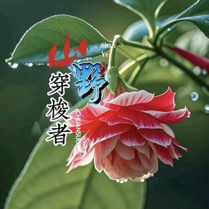 山野穿梭者头像