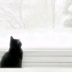 卡拉不OK头像