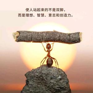 花丛欣然采露珠头像