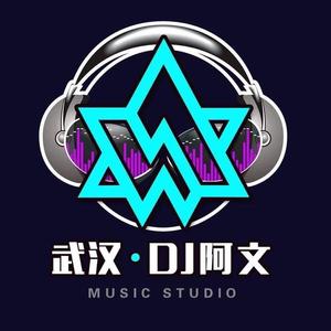 DJ阿文包厢文化音乐工作室头像