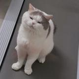 漫漫更头像