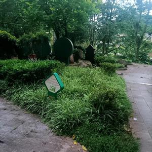 撤回头像