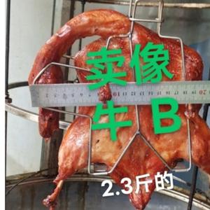 志保鸭杨器头像