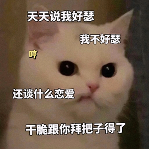 @辞忧头像