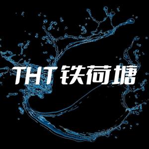 铁荷塘头像