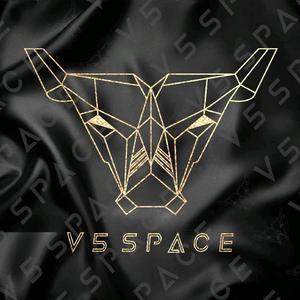 V5SPACE宝藏音乐俊仔头像