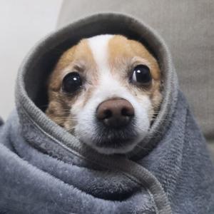 打印机大王头像