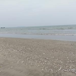 剪辑二哥 头像