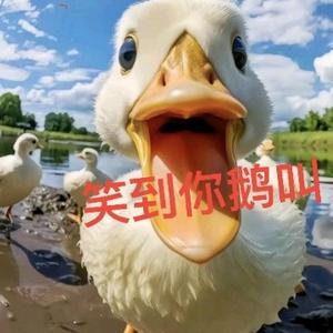 笑到你鹅叫 头像