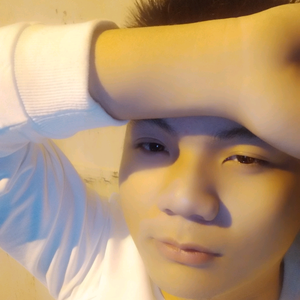 南楼呢喃头像