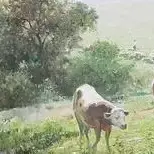 莎老板今天吃什么头像