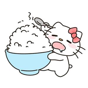 爱吃大米饭🍚头像