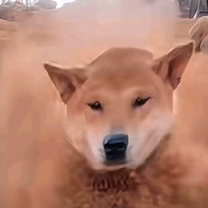 半熟芝士狗头像