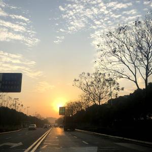小蛙故事头像