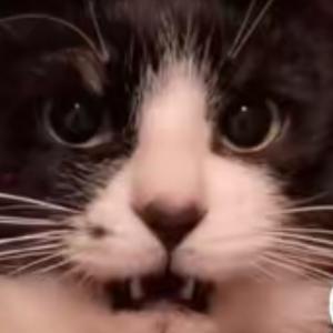 硕哥搞笑盘点（默默） 头像