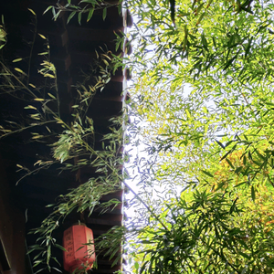 与世无争头像