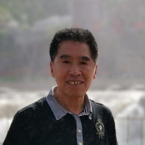 dongjinzao望月头像