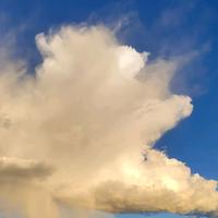 运动菠萝3t9头像