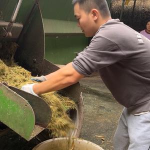 强哥不想种地头像