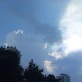 飞驰的鹿头像