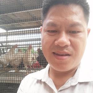 你好延辉头像