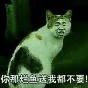 三枪带走安贝头像