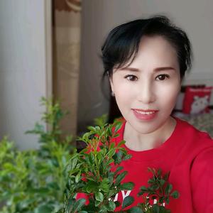雅妮达头像