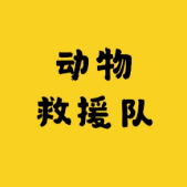 小动物救援队头像