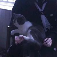 天生属核桃头像