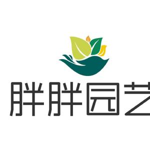 胖胖园艺每天晚上8点半直播头像