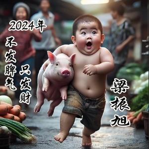 2026好运加满 头像