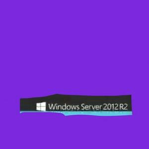 Windows8Server头像