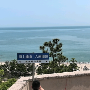 九多肉多鼓楼东大街店头像