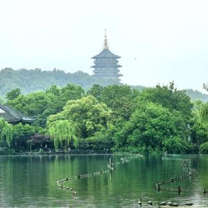 云之合头像