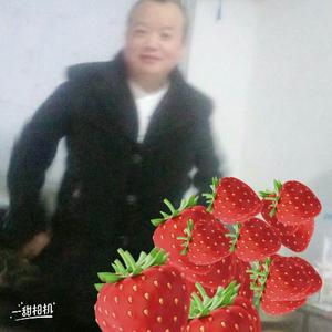 陈肆头像