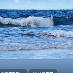 情海rf头像