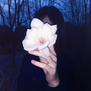 木子李头像