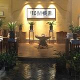 兰香蕨类头像