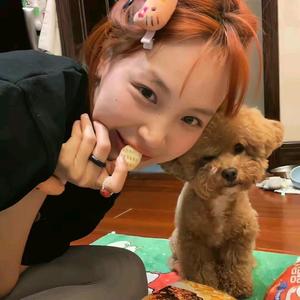 小狗不睡头像
