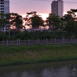 文明无关学识头像