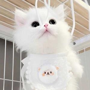 可爱小猫咪头像