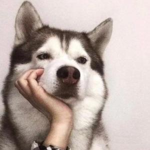 清华O头像