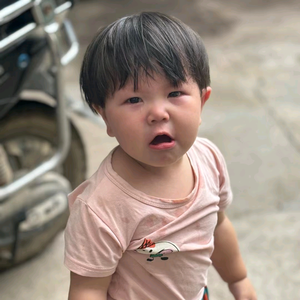 中国白茶城大余头像