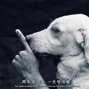 青史光年头像