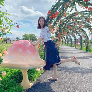 小暖日记头像