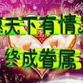 正直孔雀z头像
