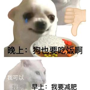 好奇卡尔好奇宝宝头像